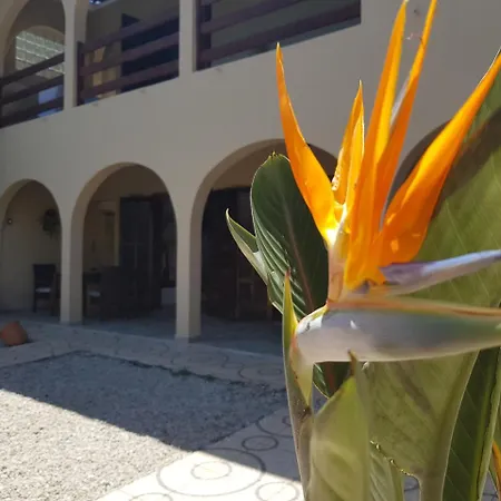 Santo Quintal Hostel-3